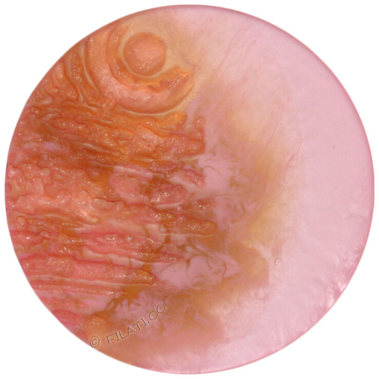 Lana Grossa UNION KNOPF 452556/28mm | 46-rose