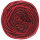 Lana Grossa ALTA MODA CASHMERE 16 SFUMATO | 204-tamno crvena prosarana