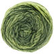 Lana Grossa ALTA MODA CASHMERE 16 SFUMATO | 206-svijetlo zelena/tamnozelena prosarana