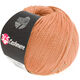 Lana Grossa 365 CASHMERE | 18-breskva