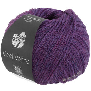 Lana Grossa COOL MERINO | 025-patlidžan