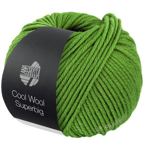 Lana Grossa COOL WOOL Superbig | 25-zeleno