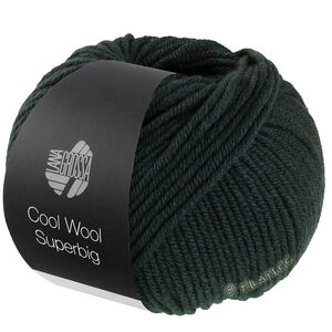 Lana Grossa COOL WOOL Superbig | 29-Loden zeleno