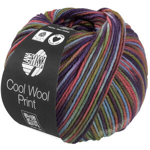 Lana Grossa COOL WOOL  Print | 838-svjetloplav/siva zelena/deva/vrijesak/plava Ljubičasta