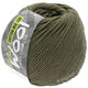 Lana Grossa COTTON MIX 130 (McWool) | 169-kaki