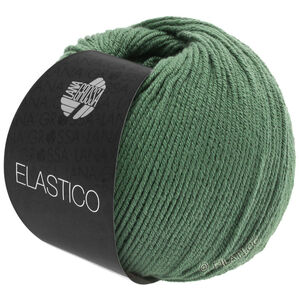 Lana Grossa ELASTICO | 141-resedazeleno