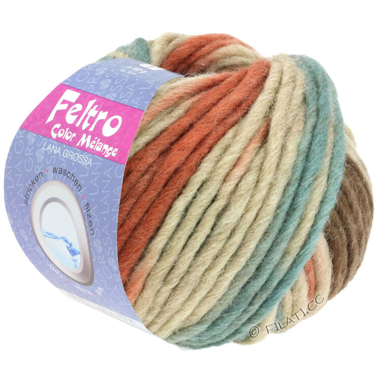 Lana Grossa FELTRO Color Melange | 1001-bež/crvenosmeđi/siva zelena/ smeđ