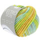 Lana Grossa FELTRO Dots | 1223-menta/svijetlo zelena/siva zelena/žuto
