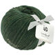 Lana Grossa LANDLUST MERINO 120 | 115- mahovina zeleni