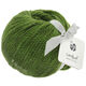 Lana Grossa LANDLUST MERINO 120 | 117-zelen