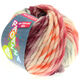 Lana Grossa LEI Mouliné/Color Mix/Spray (Ragazza) | 253-rose/siva/priroda