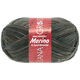 Lana Grossa MEILENWEIT 6-STRUKO 150g Merino Print | 9316-