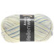 Lana Grossa MEILENWEIT 100g Anello | 4254-
