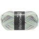 Lana Grossa MEILENWEIT 100g Freya | 6952-