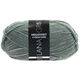Lana Grossa MEILENWEIT 100g Fumo | 1203-