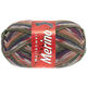 Lana Grossa MEILENWEIT 100g Merino Print | 2253-