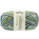 Lana Grossa MEILENWEIT 100g Nessel Himalaya | 5106-