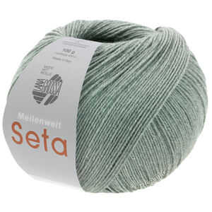 Lana Grossa MEILENWEIT 100g Seta | 14-siva