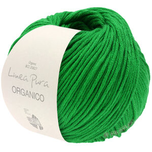 Lana Grossa ORGANICO (Linea Pura) | 163-trava zelena