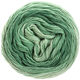 Lana Grossa SLOW WOOL LINO Dégradé | 203-pastelne zeleno /siva zelena/patina zeleno