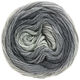 Lana Grossa SLOW WOOL LINO Dégradé | 206- srednje siva/tamno siva/antracit