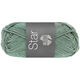 Lana Grossa STAR | 114-mint sive boje