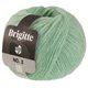 Lana Grossa BRIGITTE NO. 2 | 76-menta
