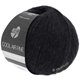 Lana Grossa COOL AIR Fine | 14-crna