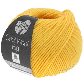 Lana Grossa COOL WOOL Big  Uni/Melange
