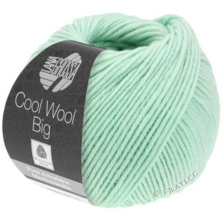 Lana Grossa COOL WOOL Big  Uni/Melange