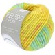 Lana Grossa FELTRO Peak | 1416-žuto/roze/svijetlo zelena/tirkiz