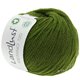 Lana Grossa LANDLUST MERINO 120 (GOTS & ICEA) | 117-zelen
