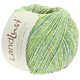 Lana Grossa LANDLUST SOMMERSEIDE Mélange | 113-zelena žuta prosarana