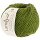 Lana Grossa LANDLUST WINTERWOLLE | 36-jabuka zelena prosarana