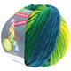 Lana Grossa LEI Dégradé | 510-žuto/zeleno/petrol/mornarica