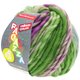 Lana Grossa LEI Tweed Color (Ragazza) | 402-plavo siva/zelen/crvena ljubičasta prosarana