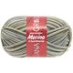 Lana Grossa MEILENWEIT 6-STRUKO 150g Merino Print | 9176-