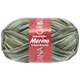 Lana Grossa MEILENWEIT 6-STRUKO 150g Merino Print | 9315-