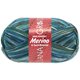 Lana Grossa MEILENWEIT 6-STRUKO 150g Merino Print | 9317-