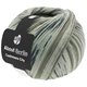 Lana Grossa MEILENWEIT 100g Cashmere City (ABOUT BERLIN) | 870-