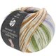 Lana Grossa MEILENWEIT 100g Cotton Bamboo Marinella | 5182-