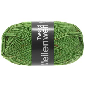 Lana Grossa MEILENWEIT 100g Tweed | 165-zelen