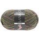 Lana Grossa MEILENWEIT 100g Twister | 7506-