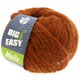 Lana Grossa MOLLE 100g (Big & Easy) | 01-bakar