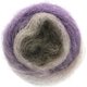 Lana Grossa SILKHAIR Dégradé | 809-grège/tupe/ljubičasta