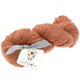 Lana Grossa SLOW WOOL LINO | 25-terakota
