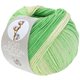Lana Grossa SOFT COTTON Dégradé | 118-ecru/Nježno zelena/žad