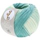 Lana Grossa SOFT COTTON Dégradé | 119-ecru//mint zeleno
