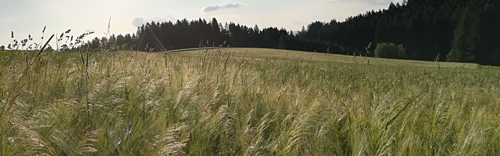 Posebna pozicija Popusti | Linea Pura - ECOVUNA